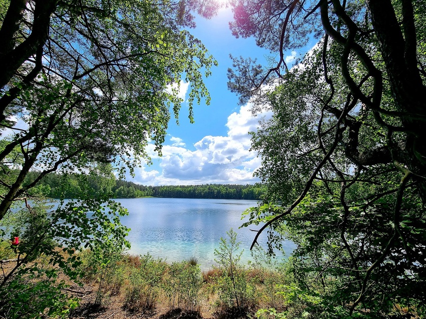Kierunek Malediwy (Letnie przystAnki odc. 9)