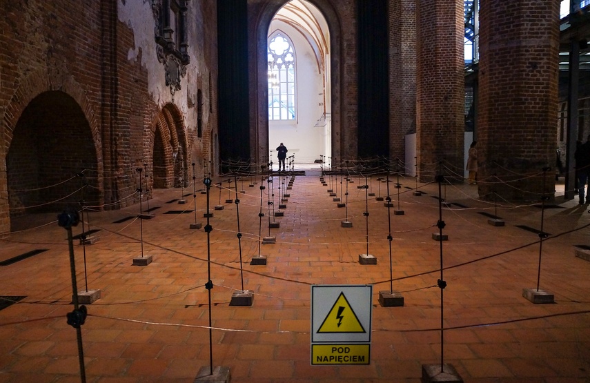 W labiryncie impulsów