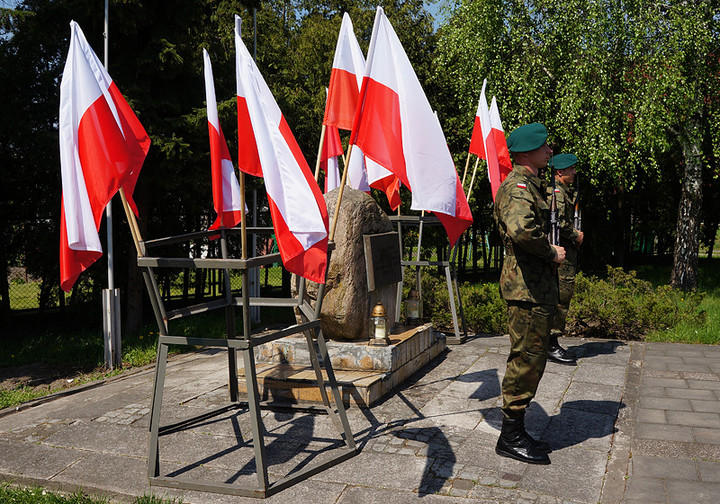 68. rocznica wyzwolenia Obozu Koncentracyjnego Stutthof - Podobóz Elbląg