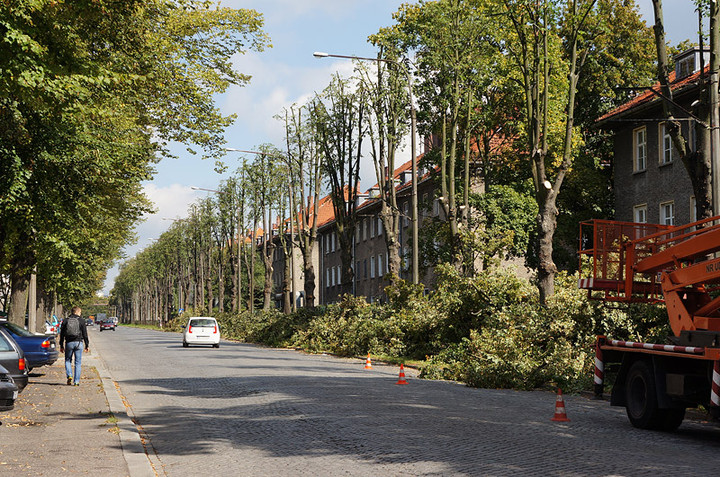Będzie bezpieczniej - bez lipy