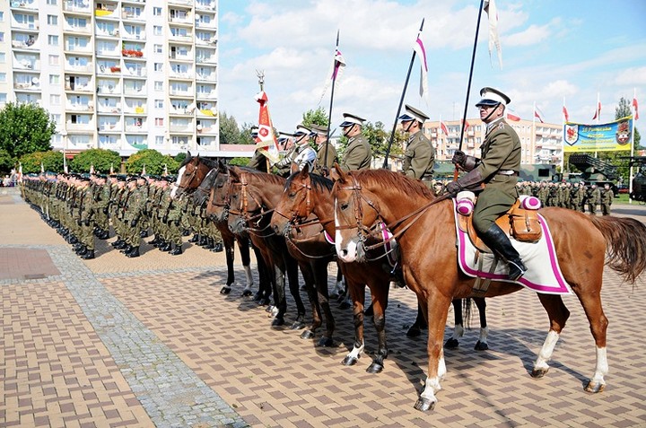 Urodziny Dywizji