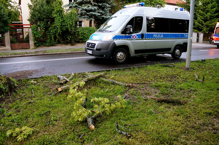 Kościuszki: saabem uderzyła w drzewo