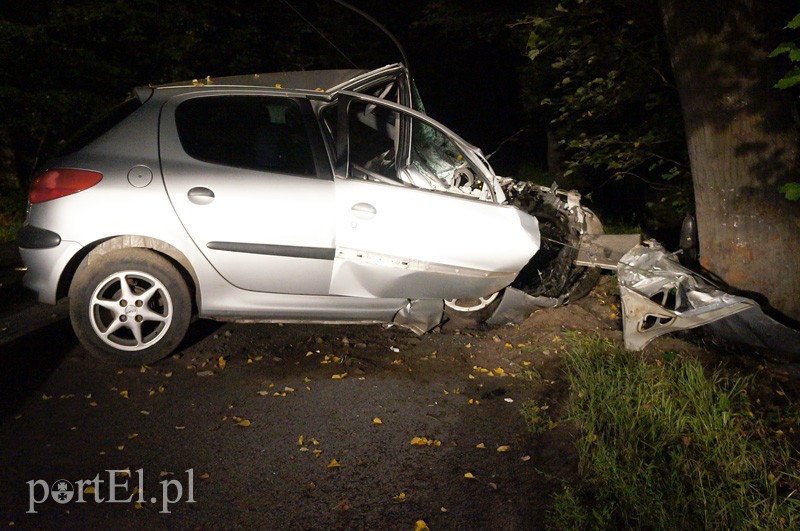 Peugeotem w drzewo: kierowca w szpitalu