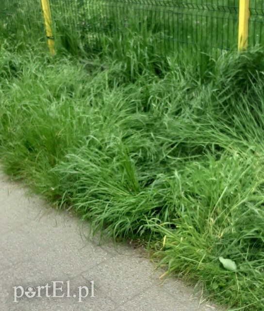 Rodzice alarmują: plac zabaw w parku Kajki jest nieprzygotowany do otwarcia