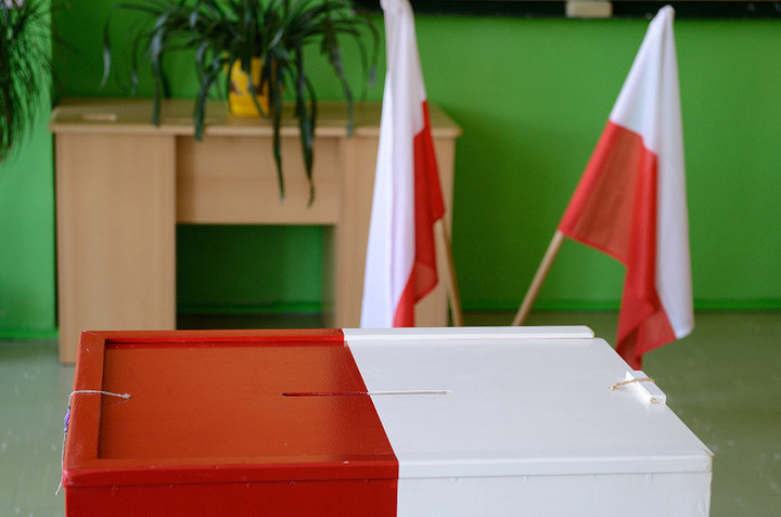 Tak głosowali Gelert i Wilk