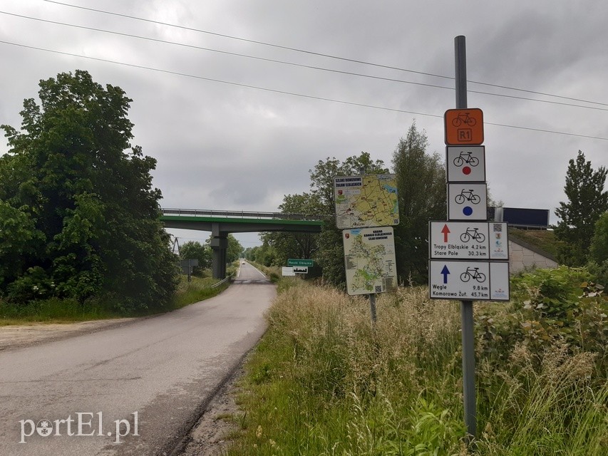 Wycieczka rowerowa po Żuławach Elbląskich