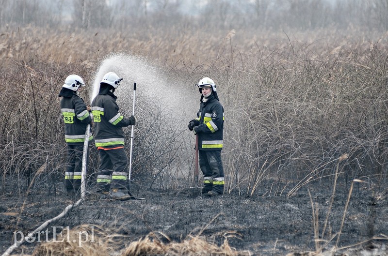 Groźny pożar traw w Jegłowniku