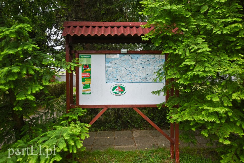 Na elbląskim campingu szukają ciszy i spokoju
