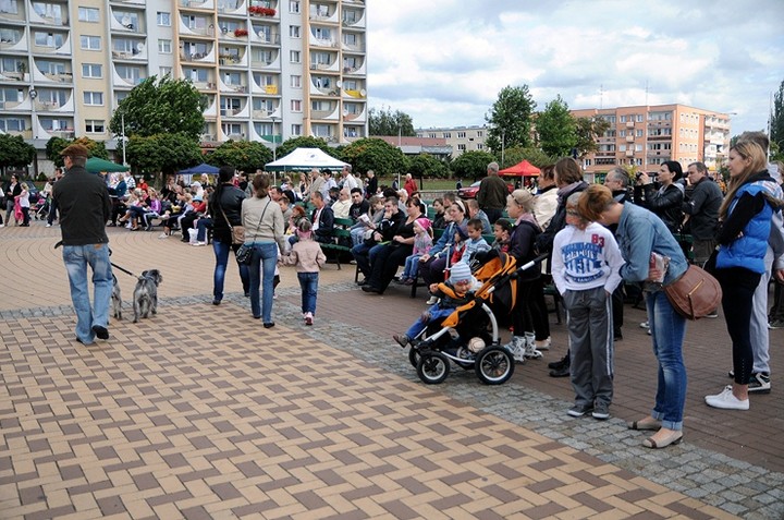 Nasi czworonożni przyjaciele