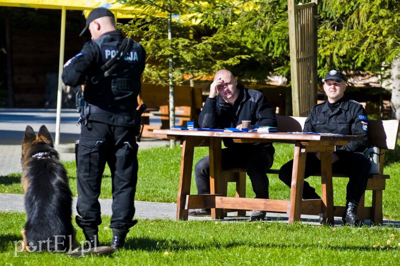 Funkcjonariusze na czterech łapach pokazali, co potrafią