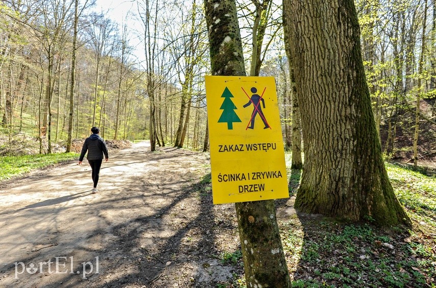 Remont szlaku czerwonego w Bażantarni