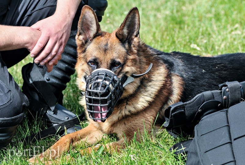 Policja kontra kibice na stadionie