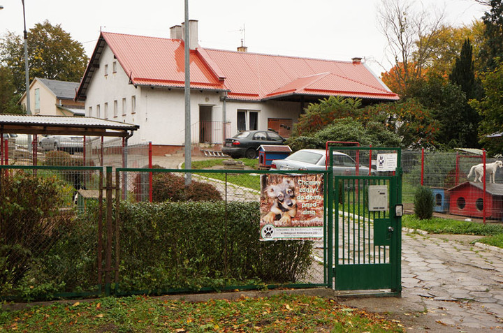 Dzień Otwarty w schronisku dla zwierząt