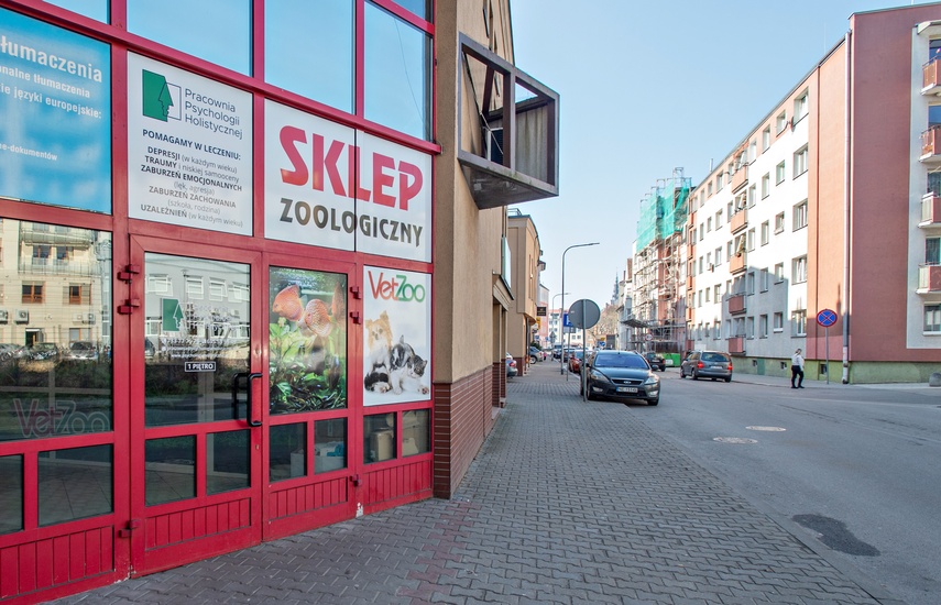 Wszechstronny rozwój dla dzieci i dla dorosłych? Sprawdź MamyTo.