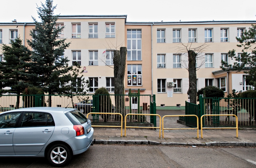 Drzewa umierają stojąc