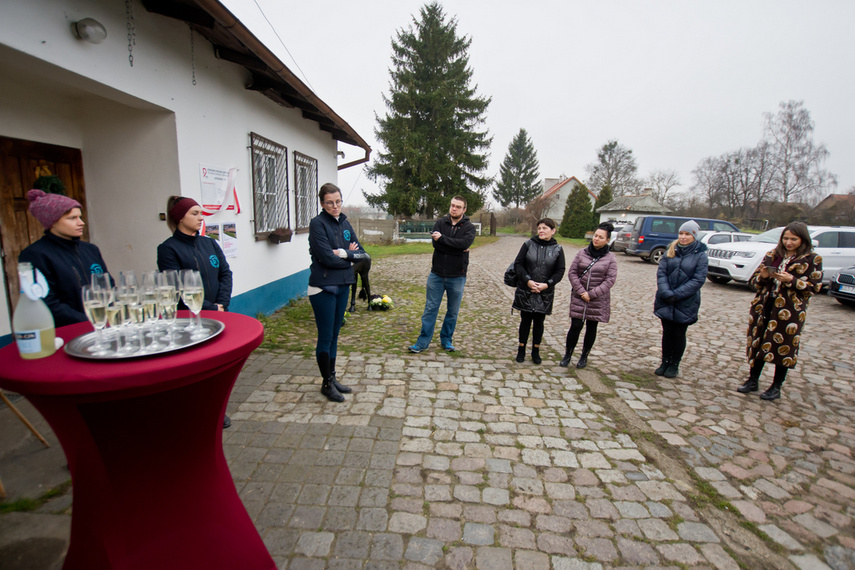 Fundacja Końskie Zdrowie z certyfikatem PZJ