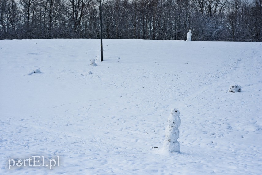 Zimowa armia bałwanów
