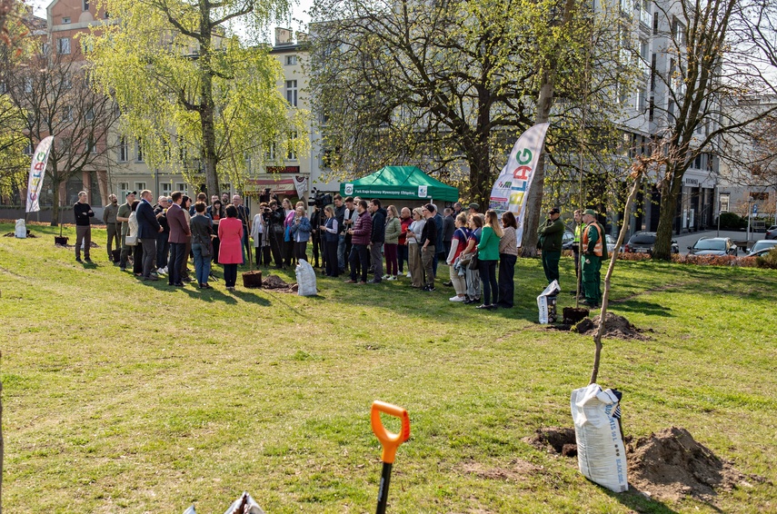 Bukowy skwer za pomnikiem