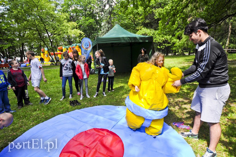 Piegusowe szaleństwo w parku Modrzewie