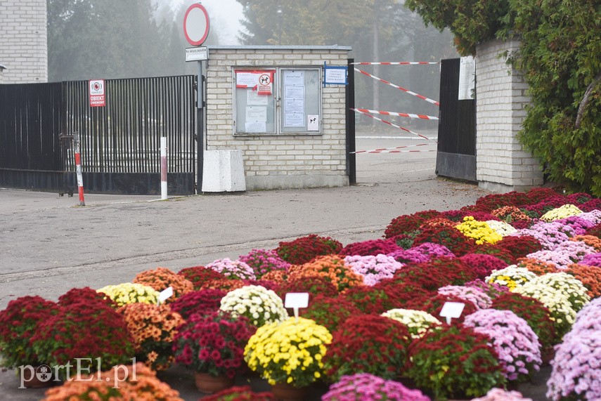 To są duże straty