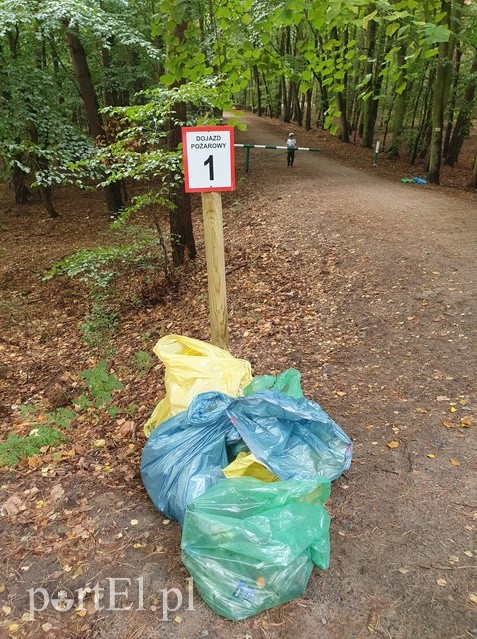 Nazbierali ponad 50 worów śmieci