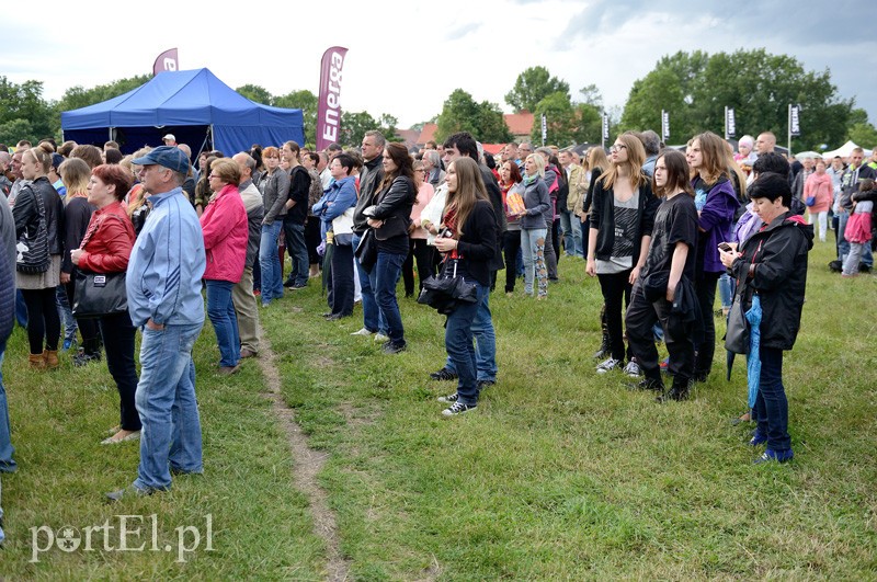 Wilki, Coma i Oceana na Dniach Elbląga
