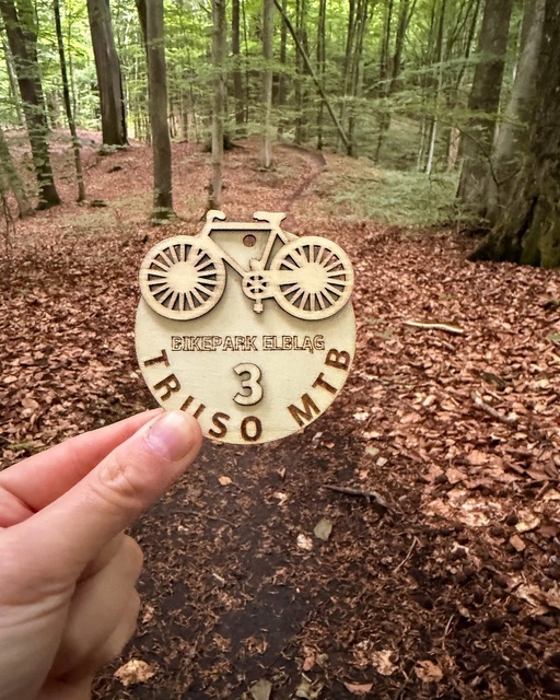 Wyjątkowe statuetki zawodów Truso MTB