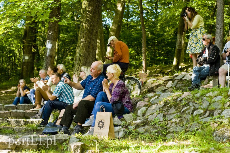 Paryski klimat w środku lasu