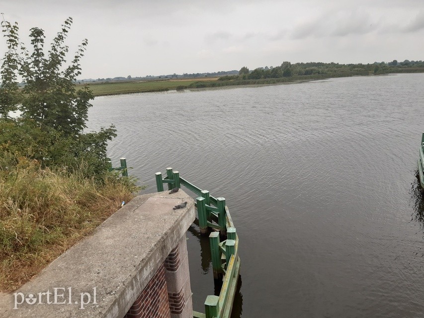 Na rower z portEl.pl: Rezerwat Przyrody Ujście Nogatu