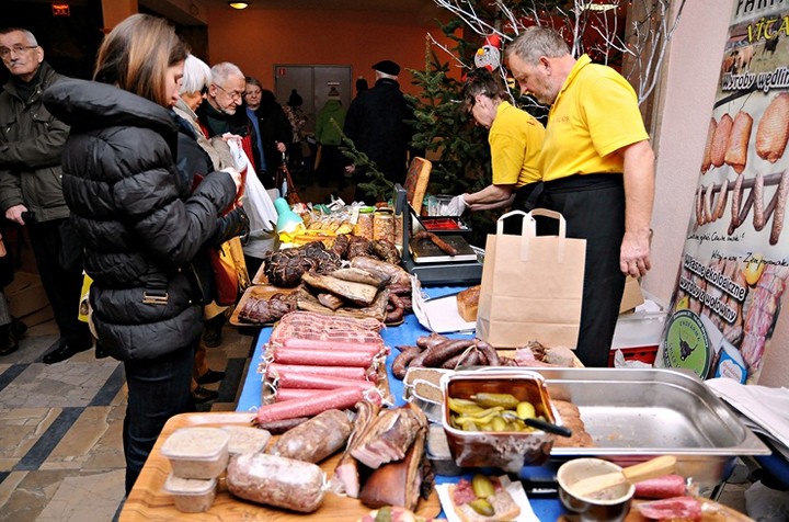 SztukaTerria