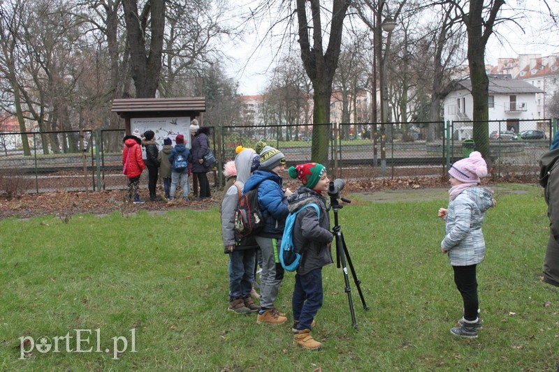 Wielkie liczenie ptaków