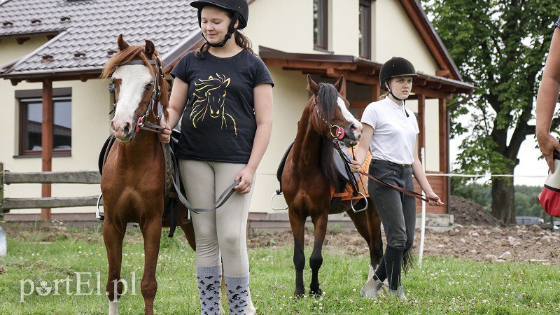  Trzecie zawody z cyklu Pony Cup już za nami