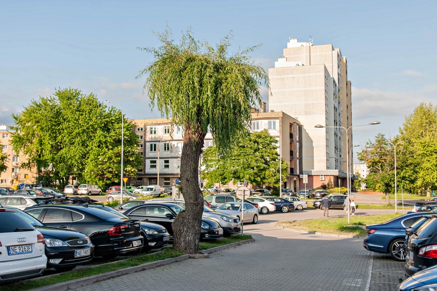Greenwashing po elbląsku