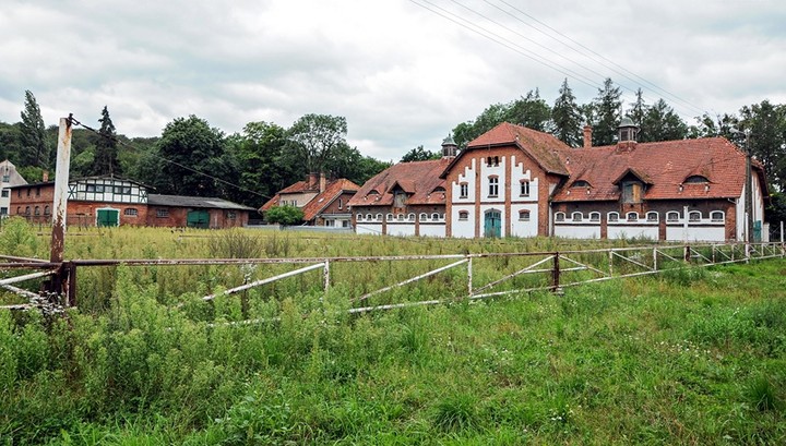 Stadnina w Kadynach
