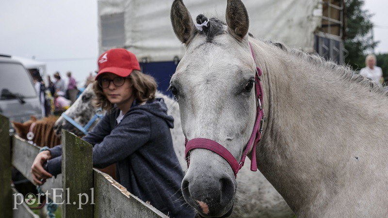  Trzecie zawody z cyklu Pony Cup już za nami