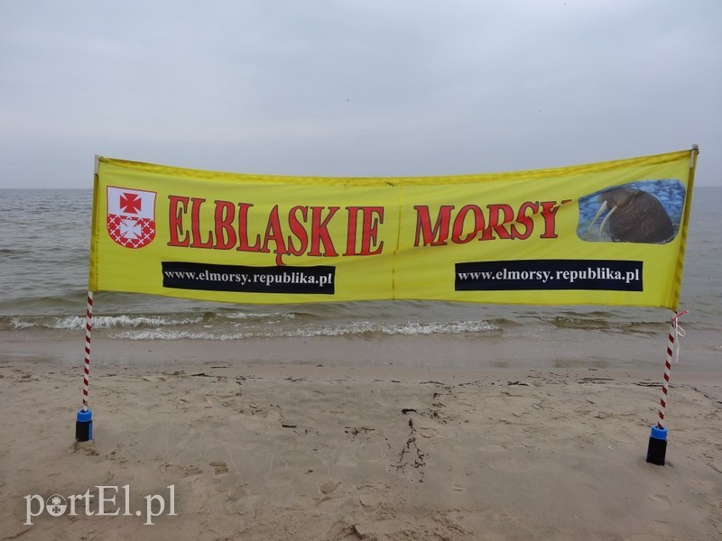 Elbląskie morsy w Stegnie