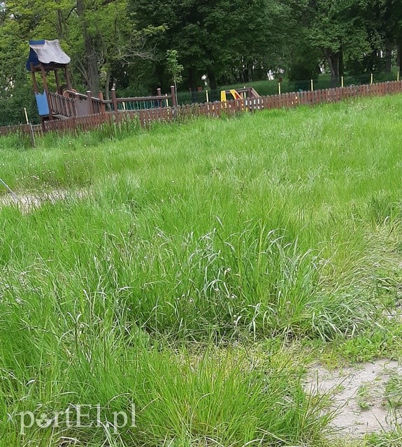 Rodzice alarmują: plac zabaw w parku Kajki jest nieprzygotowany do otwarcia