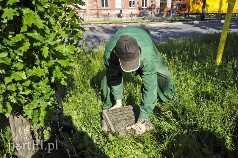 Pomniki przesunięte, skarbów nie znaleziono