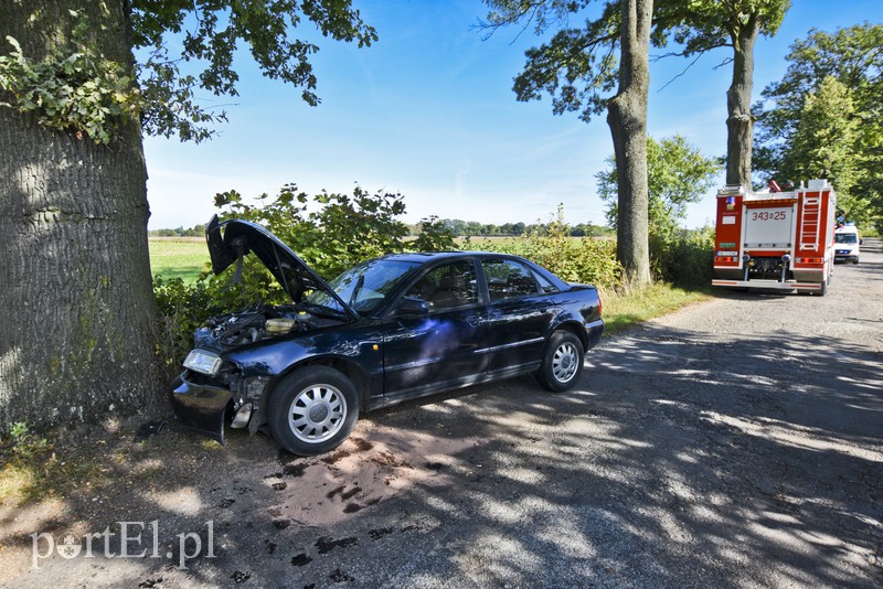 19-latka w audi uderzyła w drzewo