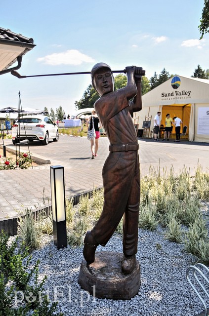 Golf dla zdrowia