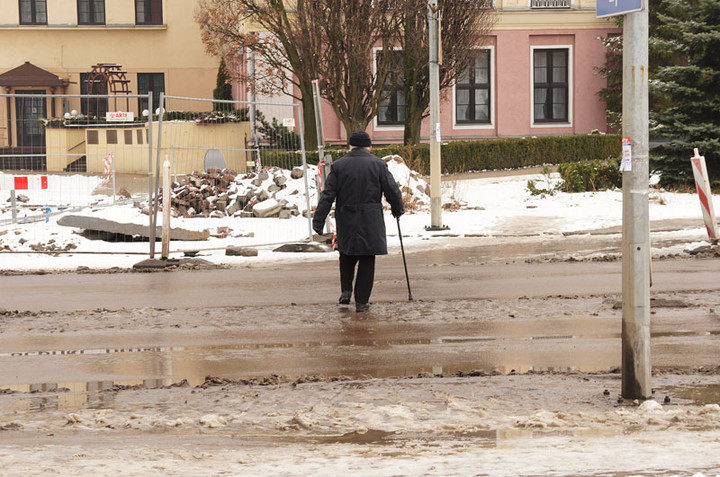 Nie ma róży bez kolców