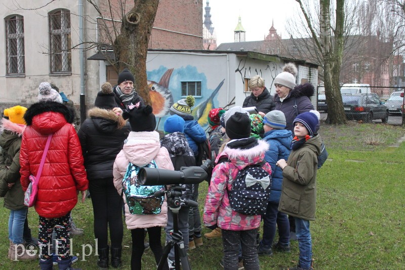 Wielkie liczenie ptaków
