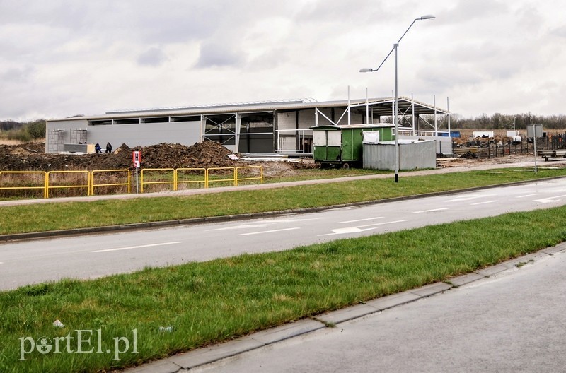 Budowa nowych hal na Modrzewinie