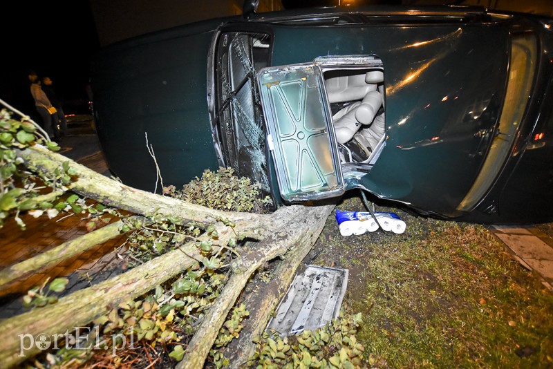 Uderzył w drzewo i jaguar stanął na boku