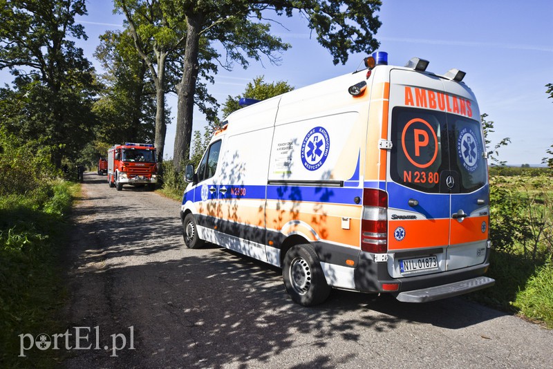 19-latka w audi uderzyła w drzewo