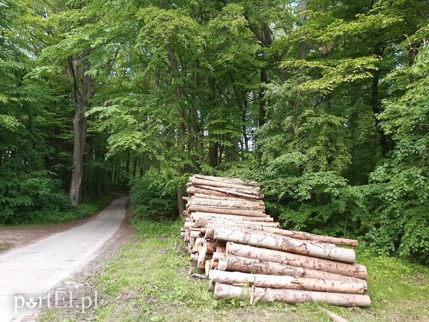 Wycieczka rowerowa do Jagodnika