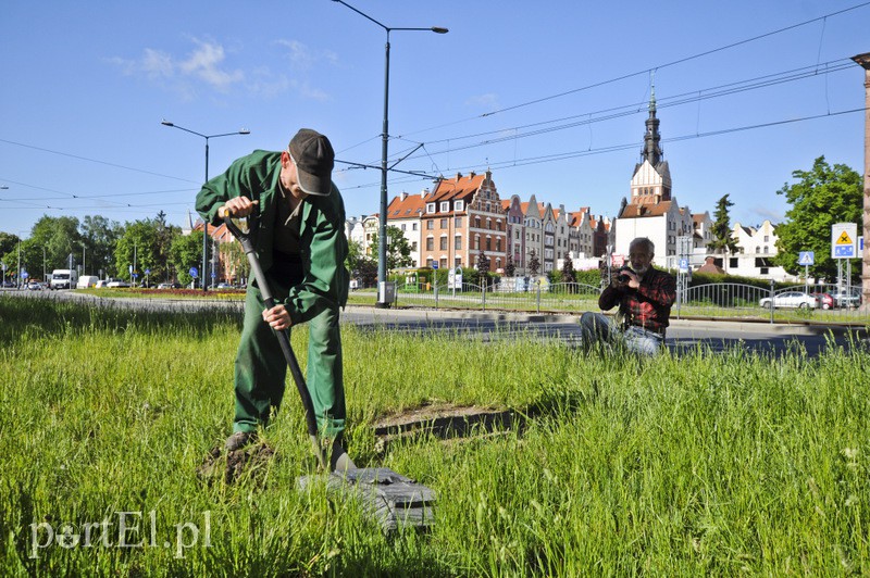 Pomniki przesunięte, skarbów nie znaleziono