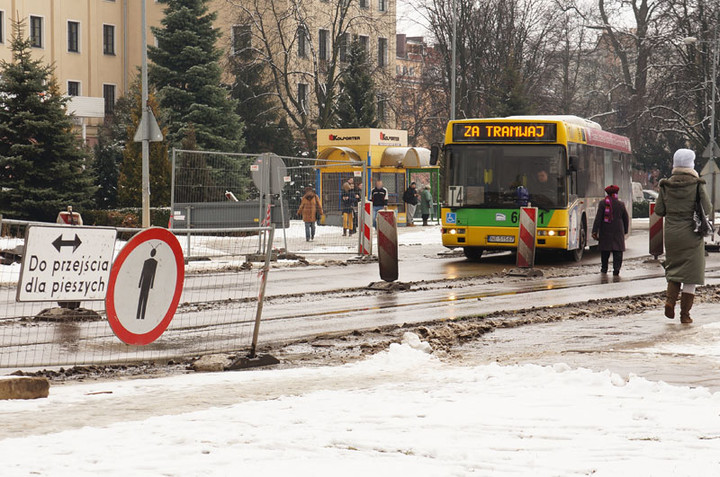 Nie ma róży bez kolców