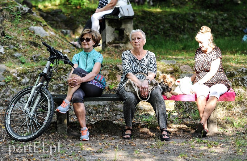 Jazz poszedł w las