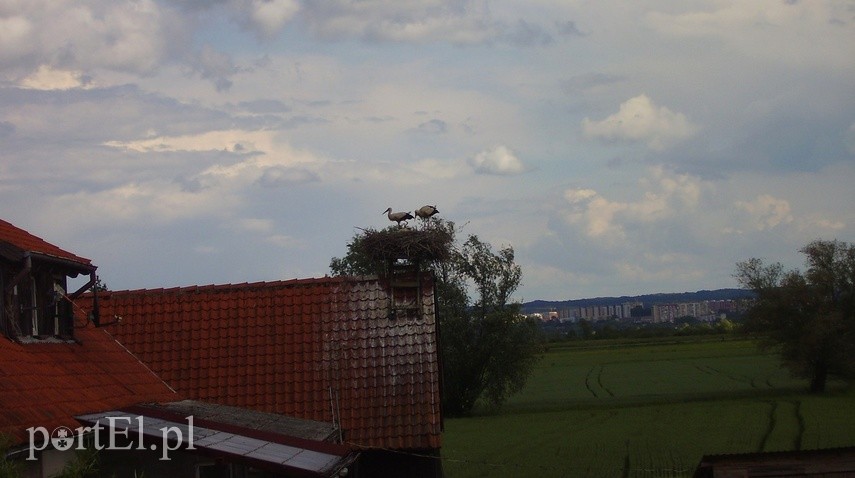 Wycieczka rowerowa na Kępę Rybackę